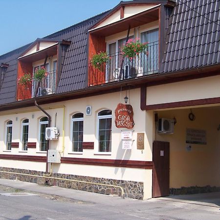 Vila Veche Haţeg Buitenkant foto
