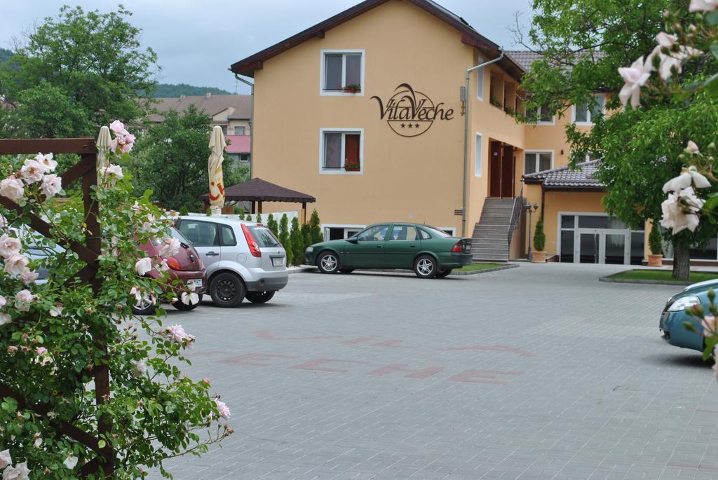 Vila Veche Haţeg Buitenkant foto