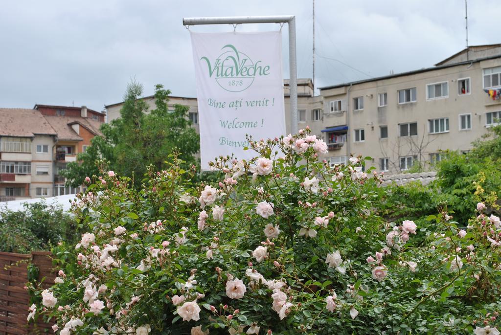Vila Veche Haţeg Buitenkant foto