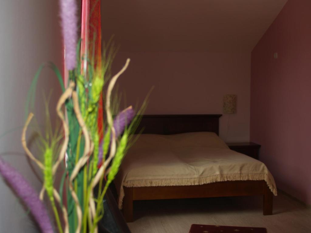 Vila Veche Haţeg Kamer foto