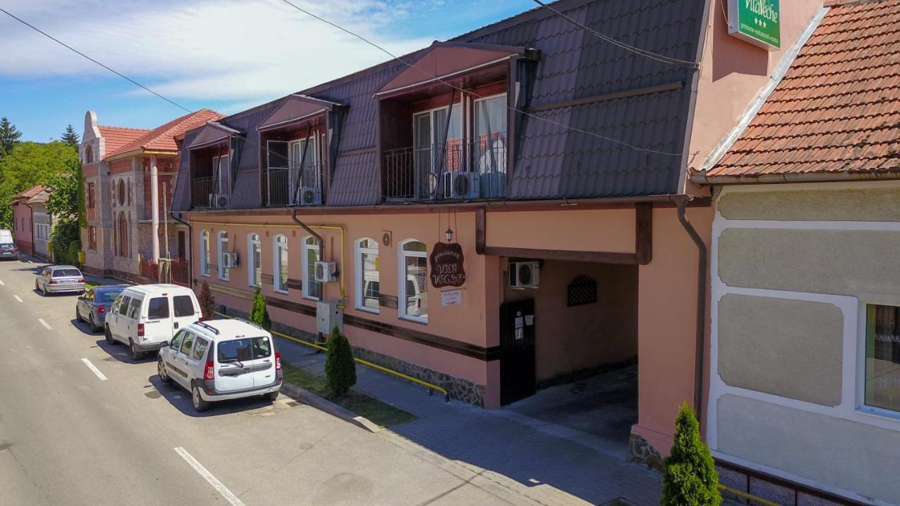 Vila Veche Haţeg Buitenkant foto